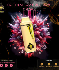 ACE SPECIAL RASPBERRY CRAVE