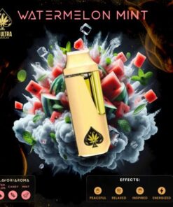 ACE WATERMELON MINT