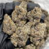Biscotti Pancakes  Strain